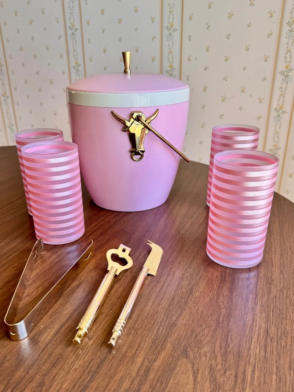 VTG Pink Longhorn Atomic Lounge Set